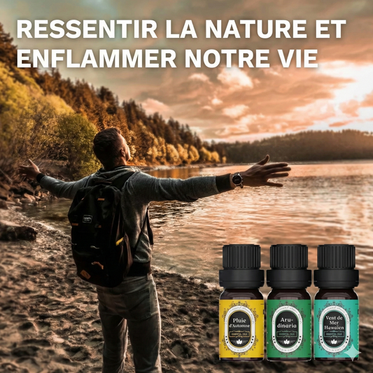 Huile Parfumée Premium – Fragrance Naturelle pour Diffuseur et Humidificateur